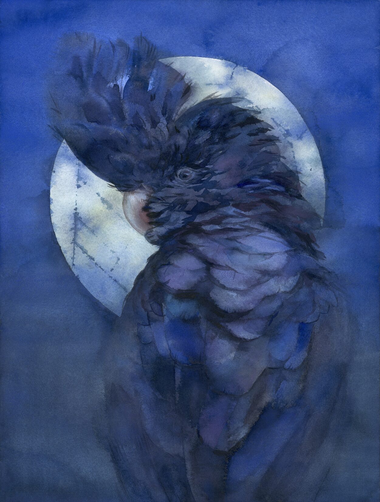 a painting of a bird with a full moon in the background, a watercolor painting, figurative art, with a big parrot, dark tenebrous blue background, within radiate connection, brian froud style, muted complementary colors, stunning moonlight and shadows, kami, a portrait, inspired by Charles Maurice Detmold, shamanistic dark blue clothes, masterful detailed watercolor, australia, peter guthrie, harpy, koala, deep purple veil, torn, palm, vertical portrait, waiting, dark blue skin, circle