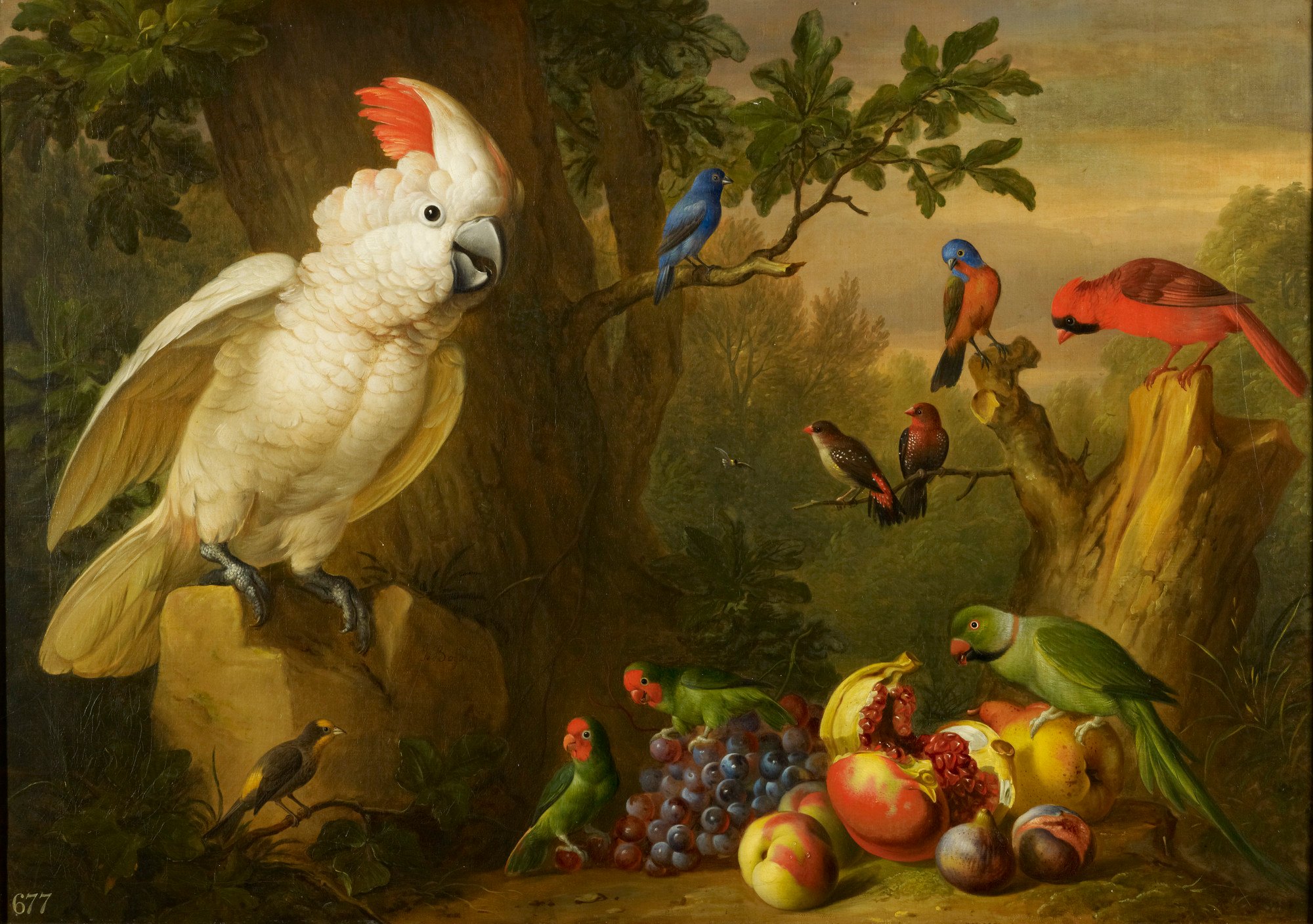 7 Cockatoo (and parrots) symbolic meaning in visual arts Bird and Fruits in a Landscape Taaye Cockatoo Art