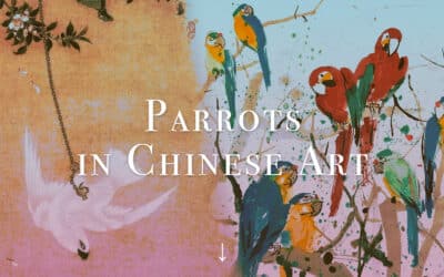 Asiatic parrots & their meaning in Chinese culture through art